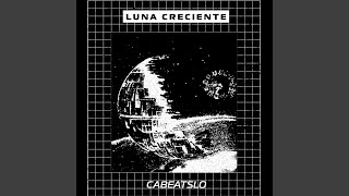 Techno Body Music