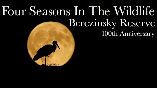 Berezinsky Nature Reserve In Seasons Film Studio Aves