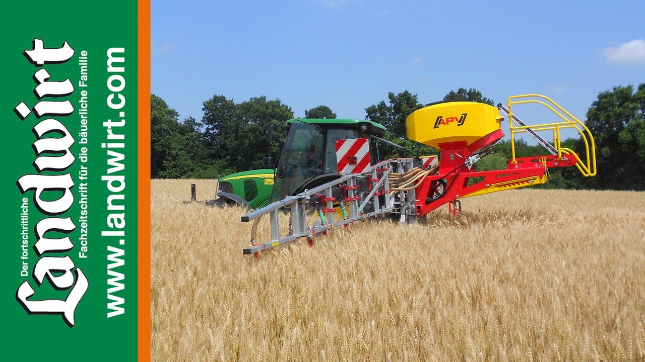 Begrünungseinsaat in Getreide