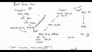 Magma Chamber Processes: Fractional Crystallization Profile