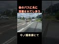 引っ込むかわいい熊本バス