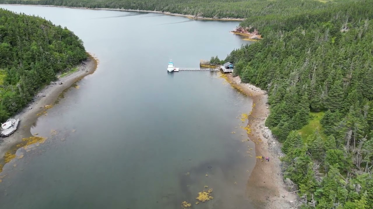 beach boil up near woody Island, NL, Canada