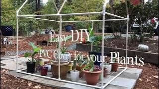 Greenhouse PVC Cover for your Plants, Easy DIY Design, also uses new #SnapClamp Pro Series!