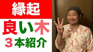 【縁起の良い木】3本の紹介