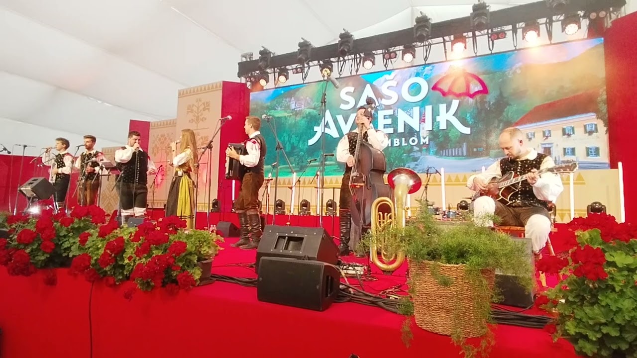 festival avsenik