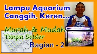 membuat aquascape rimbun seadanya. 