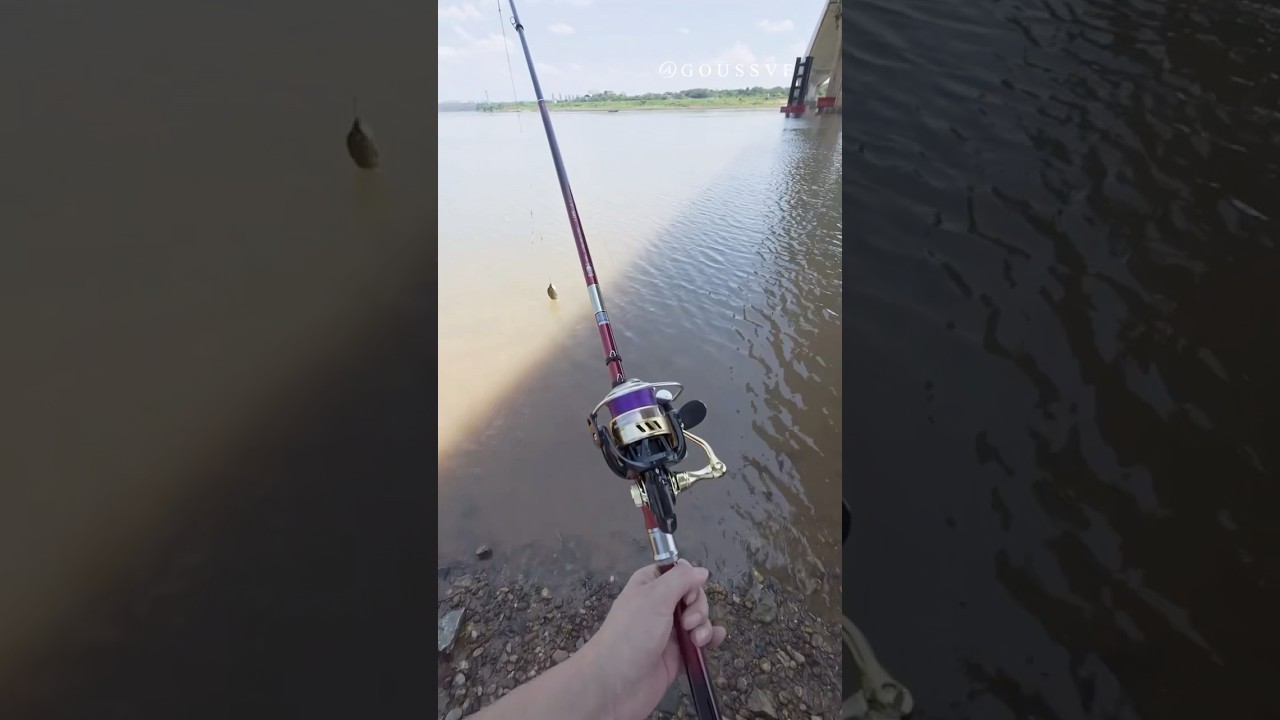 Carbon Spinning Reel and Fishing Rod Combo.