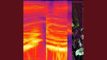 81-9.0y5m.NF1/2NOIZE:21-LfSt.Ssh,S,B,V,I,Vk. /...