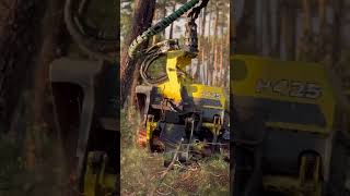 How The 1270G Harvester Works Impressive Cuts #Harvester #Automobile #Johndeere #Wood #Viral #Love