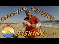 More Whiting Than You Can Shake a Stick At (Playalinda Beach Trip #2)