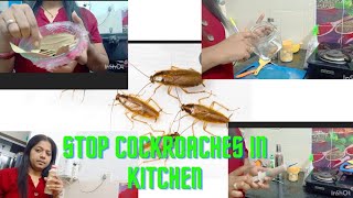 cockroaches se pareshan?? yahape hai solution #cockroaches #diypestcontrol