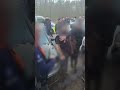 So aggressiv gehen die rechtsextremen "Grauen Wölfe" vor! | ARD Story