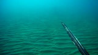 Zıpkınla Kuzu Avım Akya Omer Hf 95 Camu Eken H9R