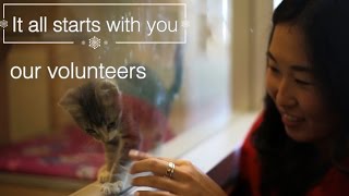SF SPCA Holiday Windows Volunteer Greeting Video
