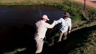 Noojee's best trout farm!
