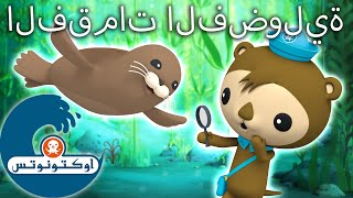 أوكتونوتس | الفقمات الفضولية 🦭 | حلقات مجمعة