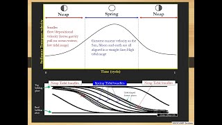 Spring and Neap Tidal Cycles pt 2 Tidal Bundles
