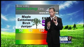 What is the Pollen Count?