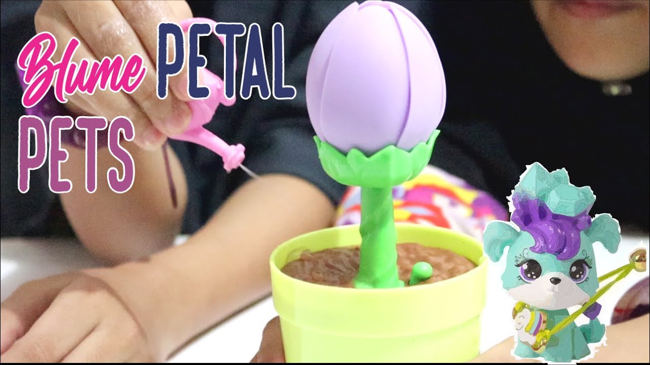 Blume petal pets Mainan Anak Perempuan Flower Blume Bungan Mekar YouTube