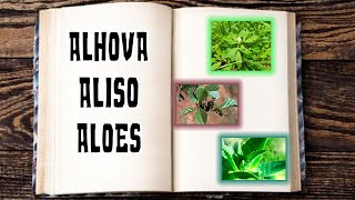 ALHOVA – ALISO – ALOES | DICCIONARIO ESOTERICO