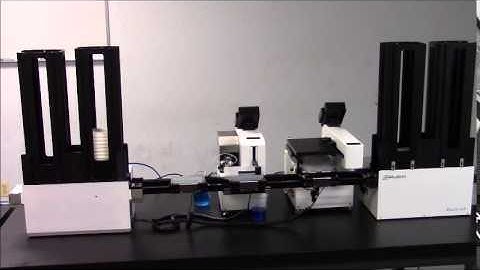 Microplate Filling Production Line for Lab Automation