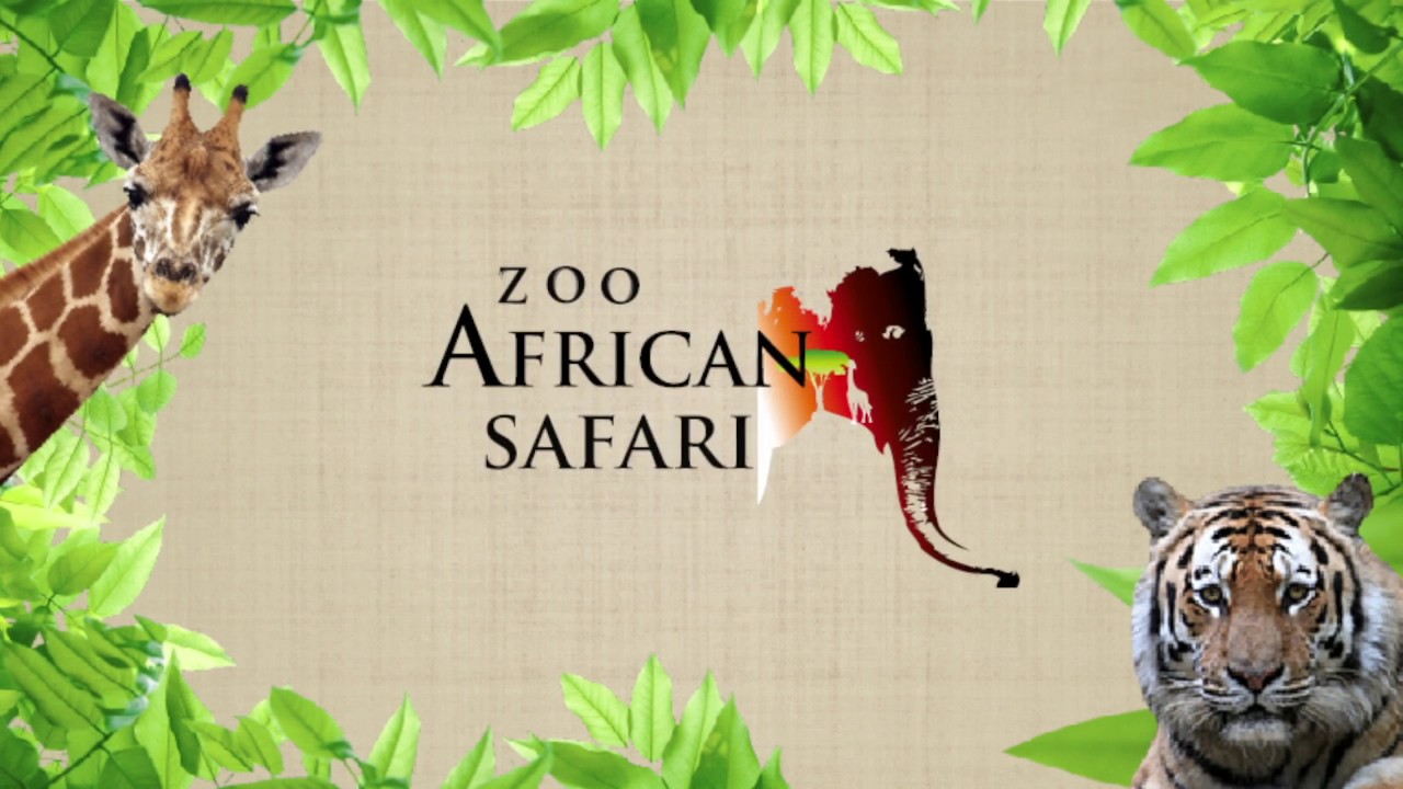 [MA VIE AU ZOO] - Episode 1 "Le métier de soigneur animalier" - YouTube