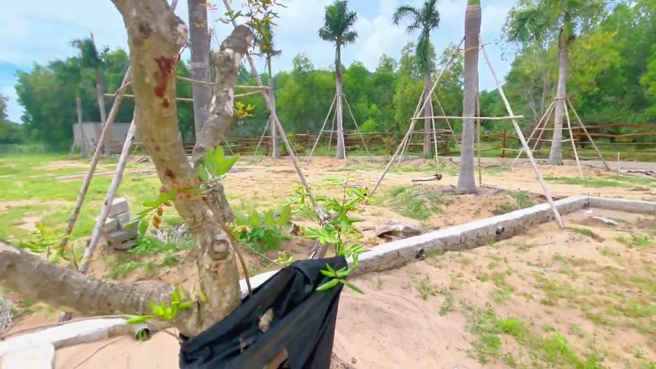 Đất vườn phước hải view vúi minh đạm