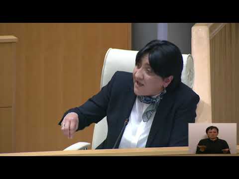 სანატრელი გაგიხდებათ მოკავშირეები, ჩრდილოეთ კორეში ხომ არა ხართ?- ინაშვილი „ქართულ ოცნებას“