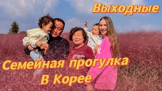 Розовая осень в Корее/семейная прогулка/наши выходные со свекровью ❤️/Южная Корея Влог