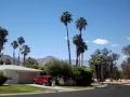Mockingbird song in palm desert california