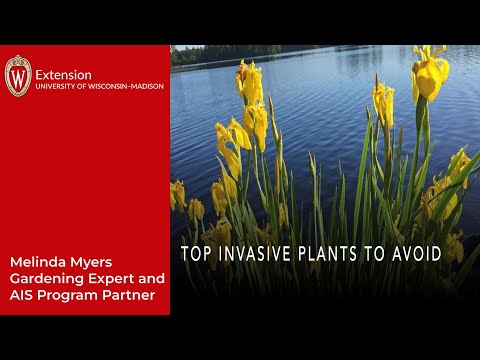 Video: Informácie o inváznych rastlinách pre zóny 9-11 – Ako sa vyhnúť výsadbe inváznych rastlín v horúcom podnebí