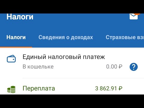 Как вернуть переплату по налогу физического лица онлайн через приложение налоговой