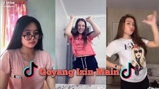 TikTok Goyang Izin Main Challenge | Funny Tiktok Compilation