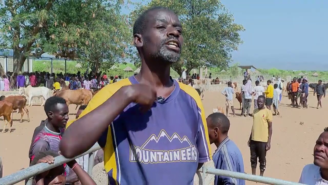 የእንስሳት ገበያ ማዕከል