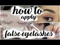 How To Apply Eyelashes | Beginners Series