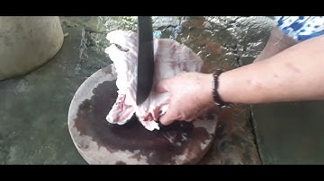 món mới thịt trăn kho nước dừa