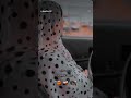 آهنگ بلوچی خواننده غمگین مینگل بلوچستان Song Balochisong آهنگ بلوچی خواننده غمگین مینگل بلوچستان Song Balochisong