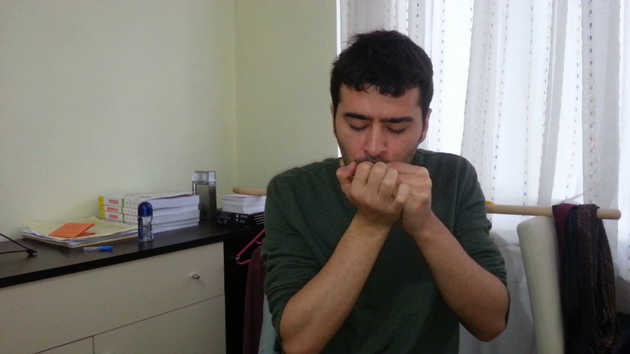 İbrahim tatlıses Nankör kedi mızıka YouTube