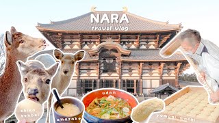 🦌 NARA travel vlog | 14 days in Japan | nara itinerary day 9 🇯🇵