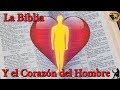 ¿A Qué se Refiere la Biblia Cuando Habla del Corazón? - Tengo Preguntas