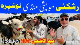 Rashakai Maweshi Mandi Nowshera New Updates 31/5/2024 Eid Ul Azha Bulls Price 2024  I Raees Khan