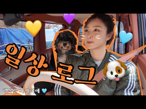 돌아온 이모저모 브이로그💘ㅣ라디오하고 개산책하고 ..