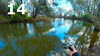 Lure Fishing For Murray Cod How Many Casts Does It Take To Catch A Cod In Winter