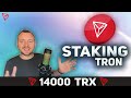 TRON STAKING 14000 TRX