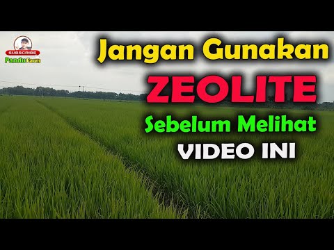Video: Bagaimana cara menggunakan zeolit?