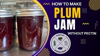 Plum Jam | Useful Knowledge