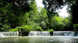 Jed Sao Noi Waterfalls 4k from Thailand. 10 hours Waterfall Noise/ Relaxing Sleep/ Insomnia Relief.