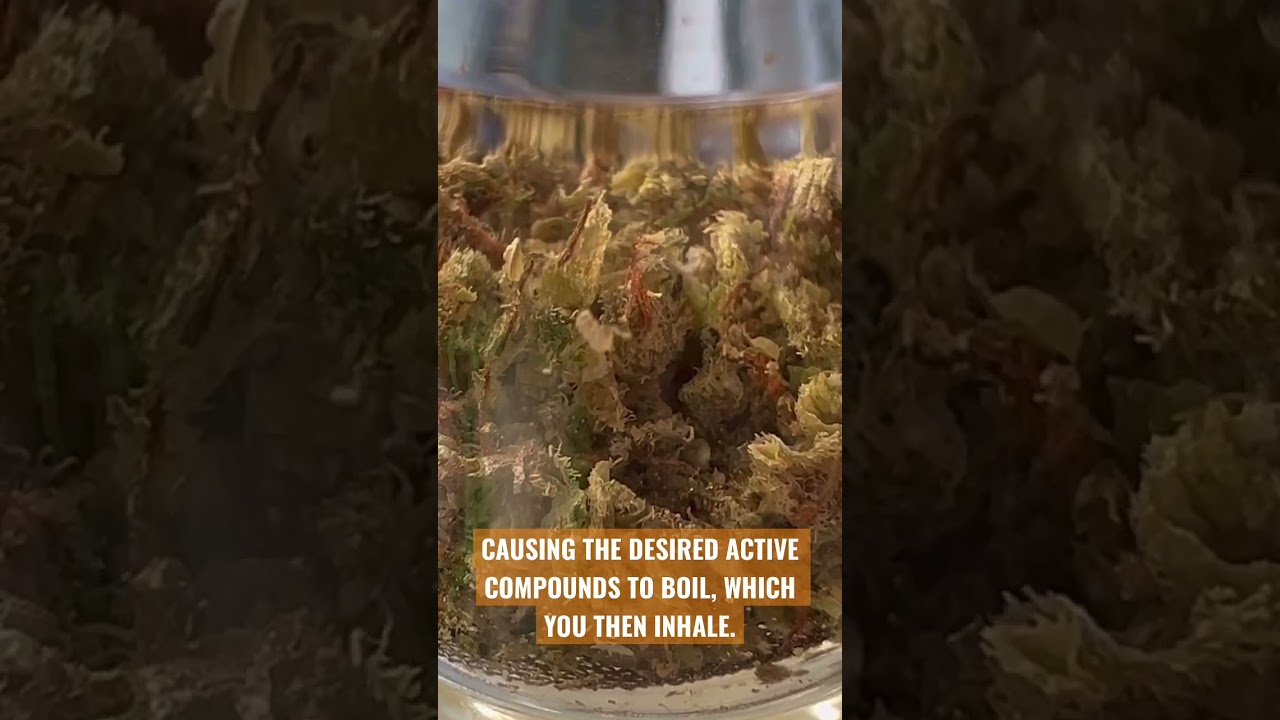 CLOSE UP OF CANNABIS VAPORIZATION 👀 VAPORIZERS EXPLAINED 