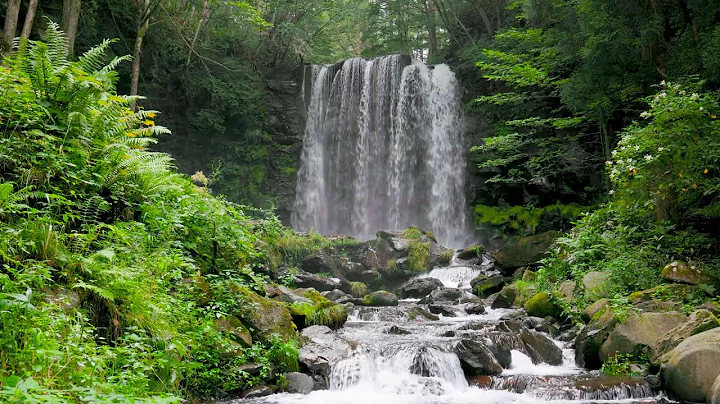Waterfall Flowing in a Mountain Forest 24/7. Waterfall Sounds, Flowing Water. White Noise for Sleep. thumbnail