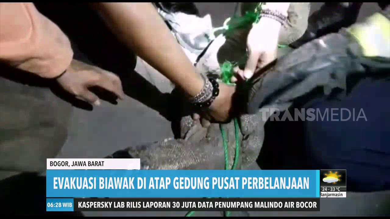 EVAKUASI BIAWAK DI ATAP GEDUNG PUSAT PERBELANJAAN | REDAKSI PAGI (19/09/19) video phone beyonce mp3